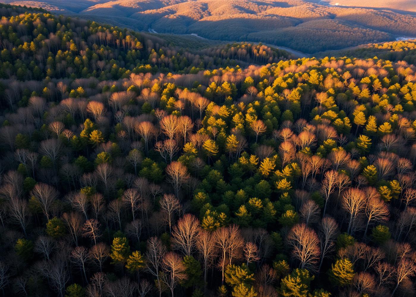 77 Blue Ridge Trail